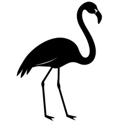 Obraz premium Flamingo vector Silhouette on white background 