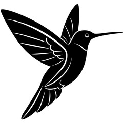 Hummingbird vector Silhouette on white baclground