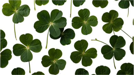green leaves isolated on transparent background