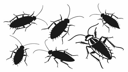 Collection of black cockroach silhouettes in various poses on a white background