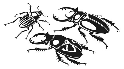 Stylized black and white illustration of three different beetles on a white background