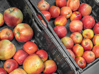 Red ripe apples lie in boxes at the market stall