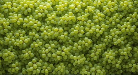 grape wall, purple grapes, green pods, purple-red pods, flowing juice, fruit bricks, organic texture, fresh grapes, grape cluster, juicy grapes, fruit mosaic, grape pattern, ripe grapes, vine grapes, 