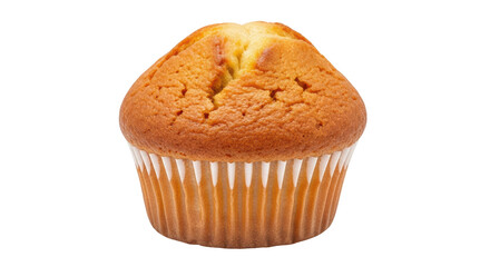 Isolated Muffin in Paper Cup