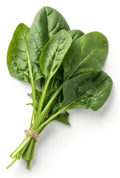 bunch of fresh horenso spinach leaves