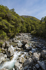 ニュージーランド　アーサーズ・パス国立公園のドブソン・ネイチャー・ウォークを流れるビーリー川