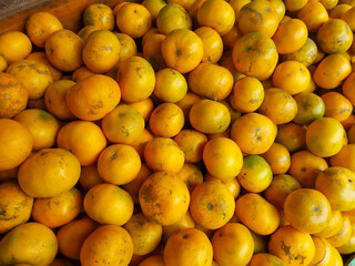 Closeup of Fresh Oranges in Market Display