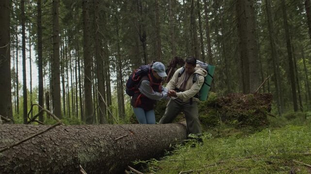 Wide stab shot of young multiethnic man assisting his girlfriend with sprained ankle sitting down on fallen tree, calling emergency service on phone in dense forest