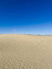 Mesquite Flat Sand Dunes is part of Death Valley in California. USA. Dunes illuminated The concept of ecological and photo tourism. High quality photo