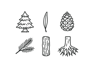Obraz premium hand drawn cute doodle ink line art style line monochrome monochrome isolated on white background cedar tree (features): needle cone bark branch root trunk