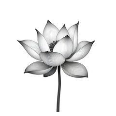 A lotus illustration vector style coloring page