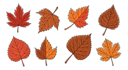 Obraz premium Autumn Leaves Collection - Vibrant Vector Illustration for Seasonal Designs and Educational Resources on Botany and Fall Foliage