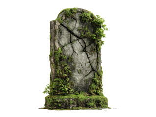 Ancient cracked gray stone tombstone overgrown with vibrant green moss and foliage.