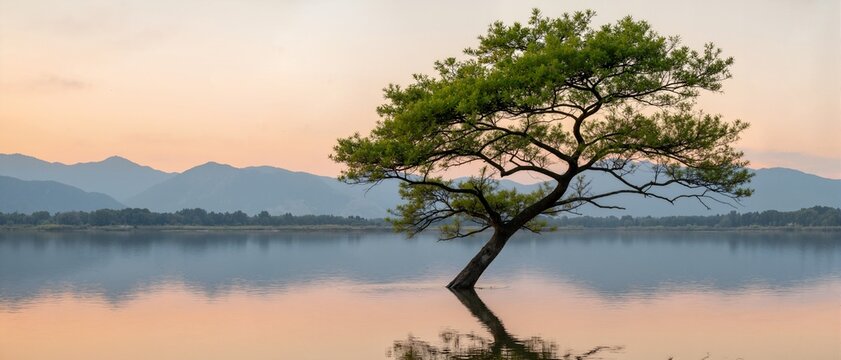 sunrise over the lake