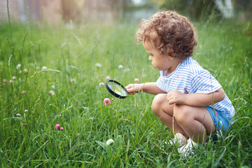 beautiful curly little toddler girl exploring nature with magnifying glass in summer, Child natural science education concept