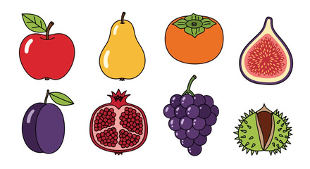 Colorful Vector Illustration of Diverse Fruits for Nutrition Education and Creative Culinary Designs in Digital and Print Media Projects