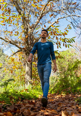 young man wearing jeans walks in a forest in autumn. Valleseco. Gran Canaria. Canary islands