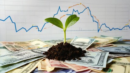 A growing plant on a pile of banknotes money with blurred a subtle growth chart in the background, Growing investments, Economic growth and return on investment concept
- Powered by Adobe