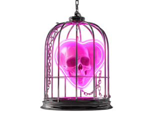 Luminous pink skull inside a neon heart imprisoned within a reflective black metal birdcage.