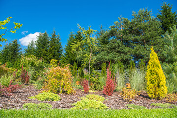 Vibrant Garden Landscape Showcasing Diverse Plants Under a Clear Blue Sky