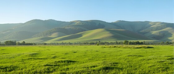 landscape with green grass and mountains