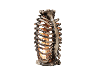 Anatomical human rib cage and spine lamp with a weathered bony texture and warm internal glow.