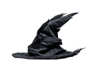 A dark textured fantasy wizard hat with a pointed crown adorned with large black raven feathers.
