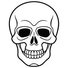 Clean Skull Outline Vector
