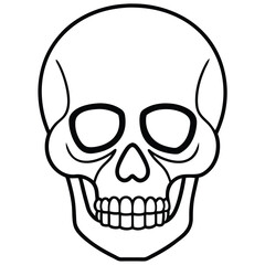 Clean Skull Outline Vector