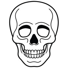Clean Skull Outline Vector