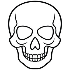 Clean Skull Outline Vector