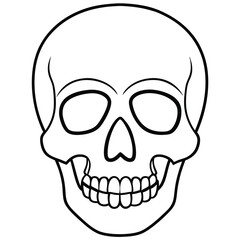 Fototapeta premium Clean Skull Outline Vector