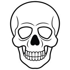 Clean Skull Outline Vector
