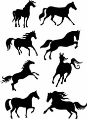 Horse set5.eps