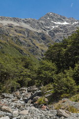 ニュージーランド　アーサーズ・パス国立公園のビーリー・バレー・トラックから見えるロールストン山