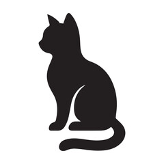 black cat on white background
