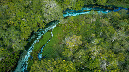 Sucuri River Bonito Brazil