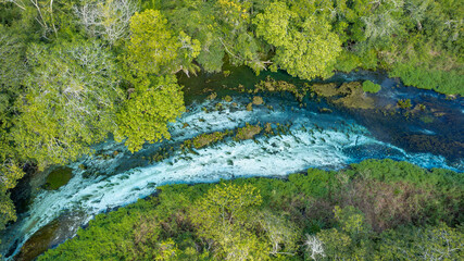 Sucuri River Bonito Brazil
