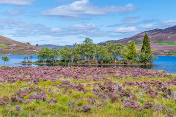 Loch Tarff, Whitebridge, Scotland, UK