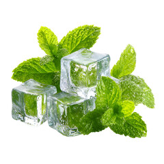 Refreshing Mint Ice Cubes Cool Drink Ingredients © Jannat00