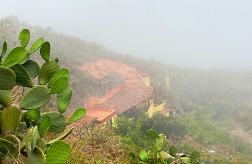 View of Anaga Natural Park landscape with opuntia cactus plants in the foreground, Chinamada, Tenerife,Canary Islands,Spain.