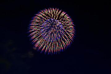 fireworks in the night sky