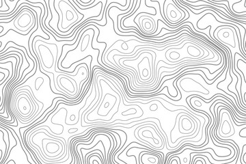Black and white seamless geometric line pattern with a simple vintage floral swirl and leaf tile illustration for textile design wallpaper backdrop