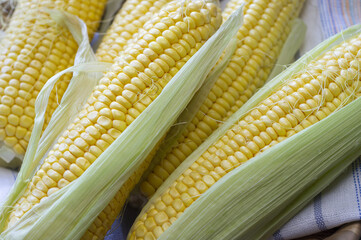 Yellow corn on a village towel close-up view