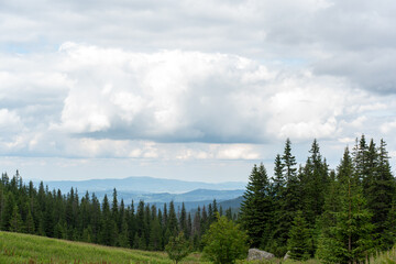 Scenic mountain landscape with dense coniferous forest and layered blue ridges under dramatic cloudy sky. Concept of pristine wilderness, forest conservation and natural mountain ecosystems.
