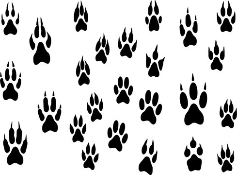 Animals footprints tracks black silhouettes. Pawprints, isolated animal footprint. Pets footsteps, different wild character foot step decent vector set 