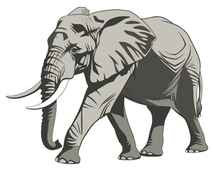 An African elephant. It is depicted in a walking pose, with its large ears, long trunk, and prominent tusks clearly visible. The artwork uses a limited color palette of gray tones with dark outlines.