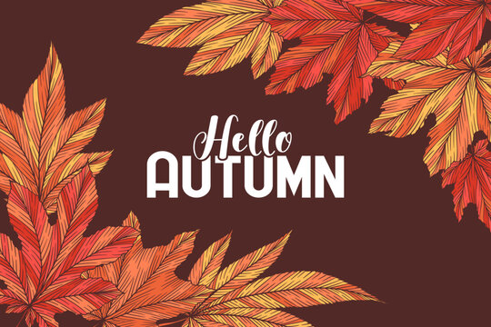 Hello autumn vector banner template with colorful hand drawn maple leaves isolated on brown background. Fall leaf vector illustration. Seasonal design for card advertising flyer poster website