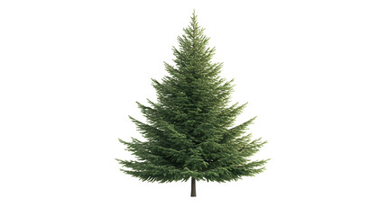 Fototapeta premium pine tree png
