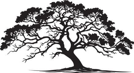The image shows black silhouettes of trees with intricate branch patterns against a white background.
